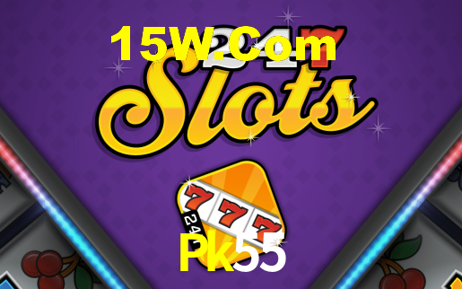 Premium Interface Pk55